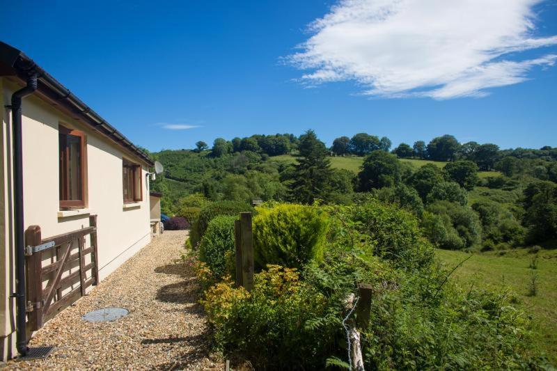 Ty Twt - Complete Holiday Home Llandysul エクステリア 写真